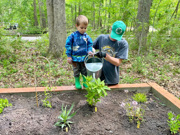 A little boy and an older boy watering plants together in a park