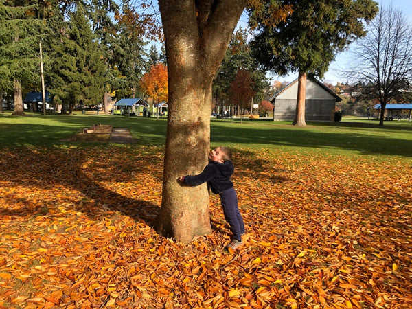 A small boy hugging a tree surrounded by red and orange fall leaves