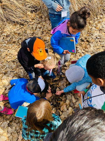 Children observing a leaf pile as part of a Nature Ninos program