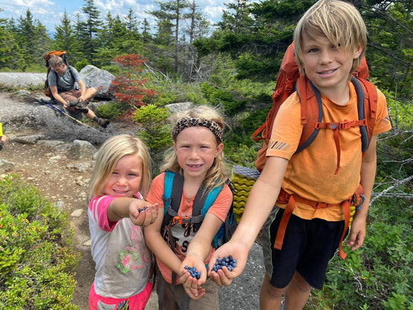Three children holding wild blueberries they picked along the trail while hiking