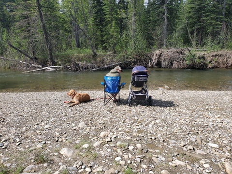 A man sitting next to a river with a stroller and a golden retriever dog next to him