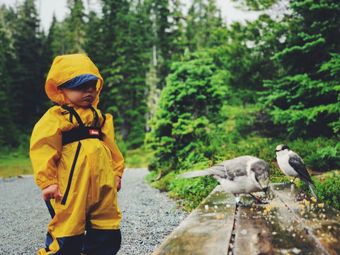 A toddler on a forested trail wearing a yellow rainsuit watching birds eat crumbs from a bench