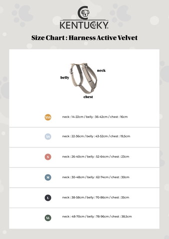 Dog Harness Active Velvet Size guide