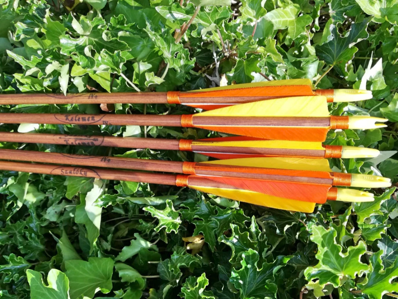 arrows archery equipment