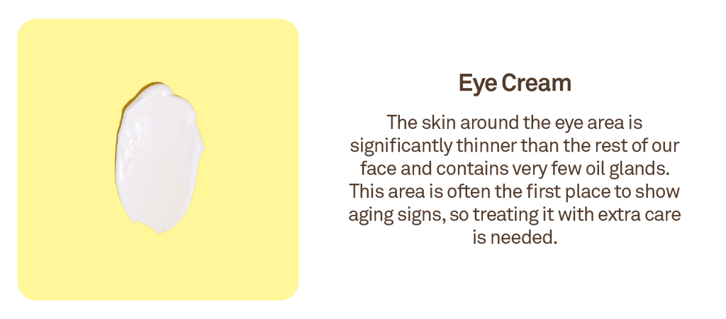 Eye Cream: The skin around the eye area is significantly thinner than the rest of our face and contains very few oil glands