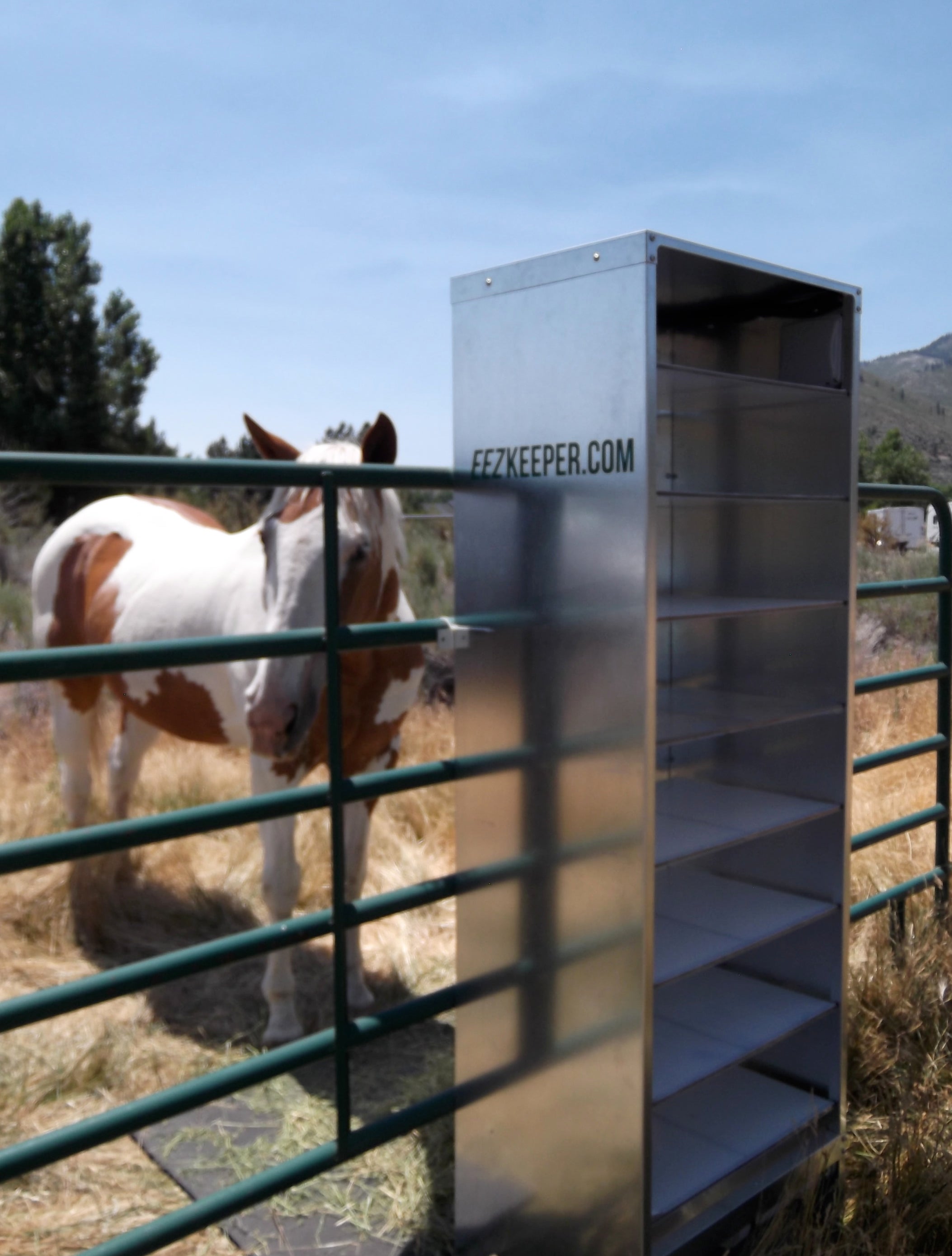 automatic grain feeder for horses