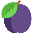 fruit icon