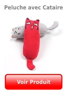 peluche avec cataire