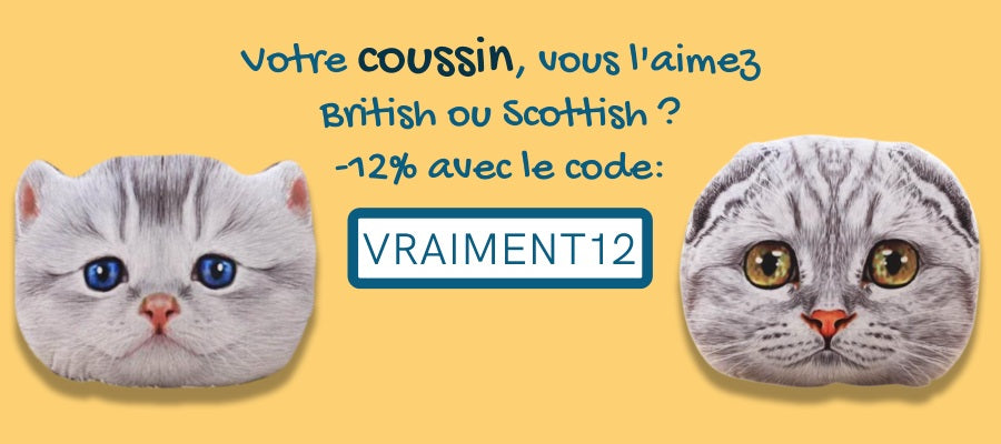 coussin chat british shorthair