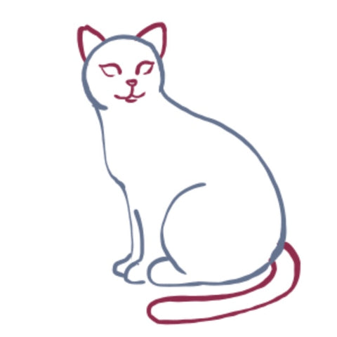 apprendre à dessiner un chat facile : niveau intermédiaire étape 5