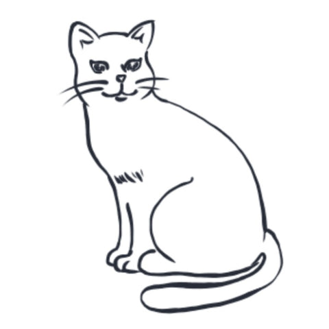 Dessin Simple De Chat Coloring And Drawing