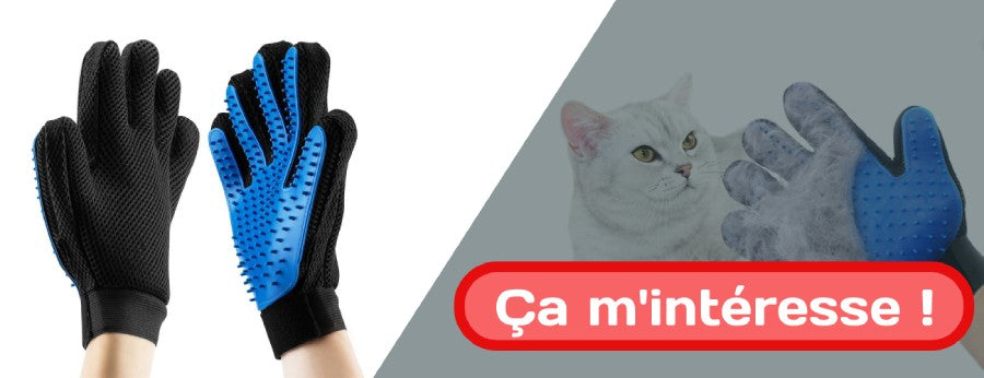 gant de brossage pour chat