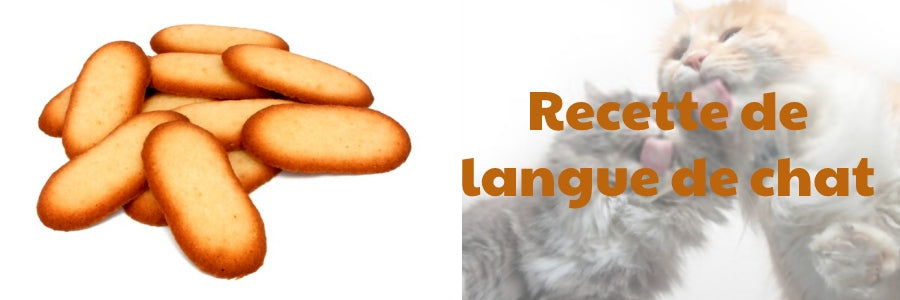 recette de langue de chat facile à faire
