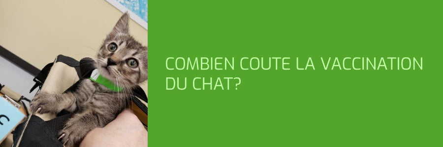 Combien coûte la vaccination du chat?