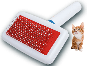 brosse carde pour chat