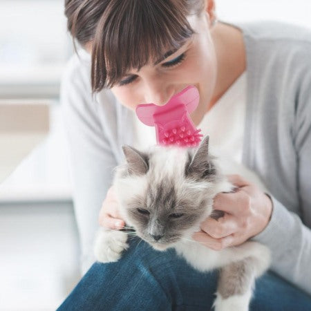 femme avec brosse langue au chat