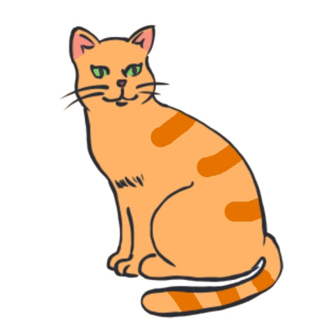 Dessiner un chat en couleur