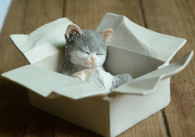chat qui dort dans le carton