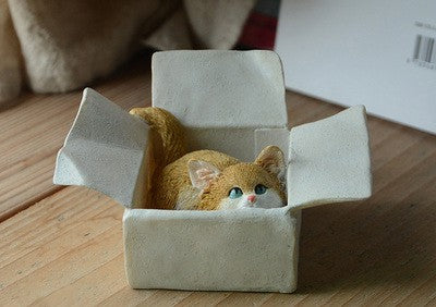 chat accroupi dans le carton
