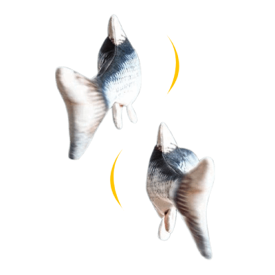 wonderfulstore Poisson flottant électrique en forme de poisson mobile de  30,5 cm - Jouet interactif en peluche pour chat (#11-étoile de mer  orientale + USB) : : Animalerie