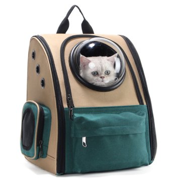 sac de transport chat avec hublot