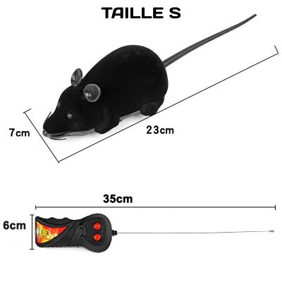 taille S souris pour chat