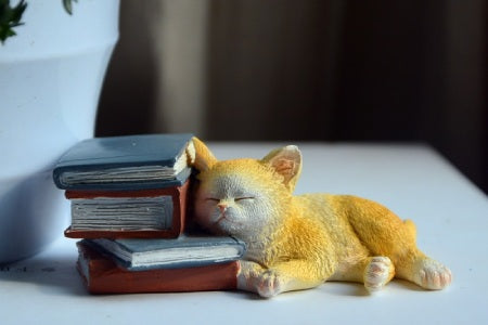chat dormant sur les livres