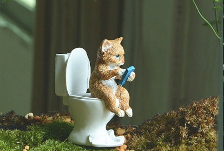 chat avec smartphone aux toilettes