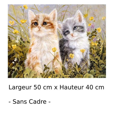 Peinture Par Numero Chat Roux Et Gris Vraiment Chat