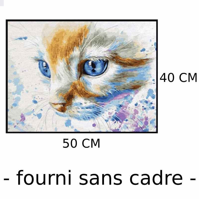 Peinture Par Numero Chat Blanc Aux Yeux Bleus Vraiment Chat