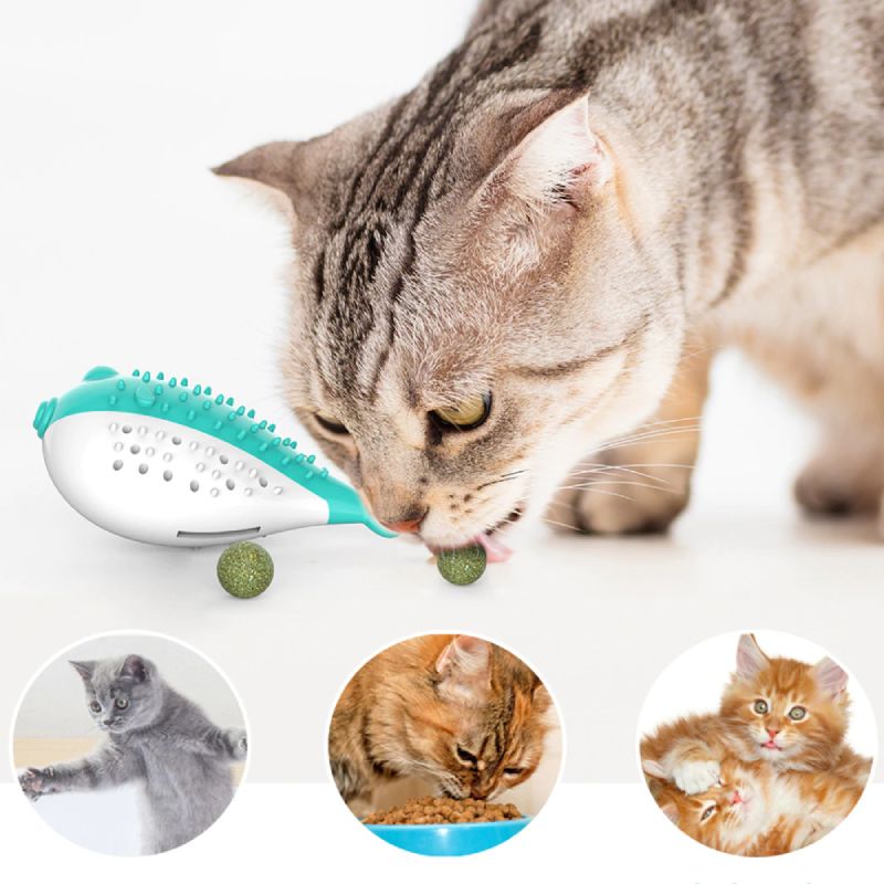 Jeu Pour Chat Poisson Brosse A Dents Vraiment Chat