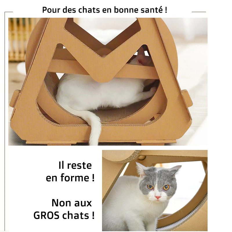 Roue Pour Chat Vraiment Chat