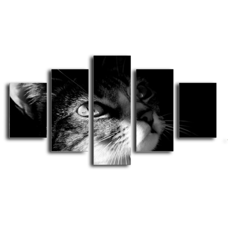 Tableau Chat Noir Et Blanc Vraiment Chat