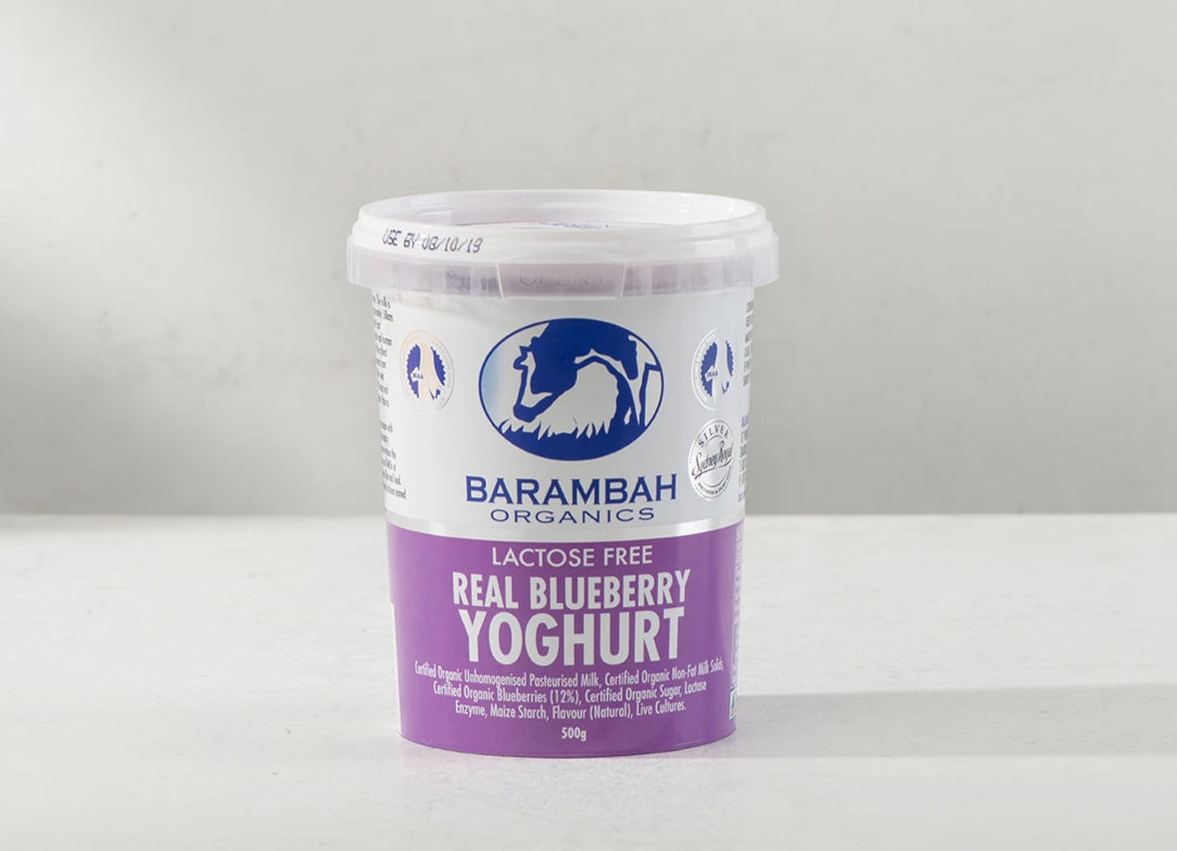 Yoghurt, Blueberry - 500g - Food Connect