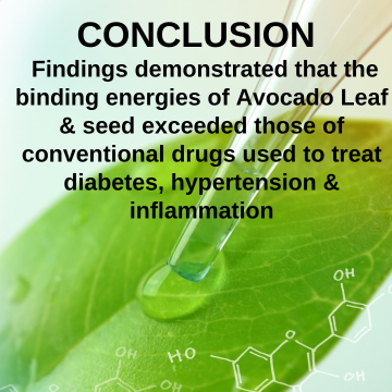 Avocado leaf benefits on Diabetes