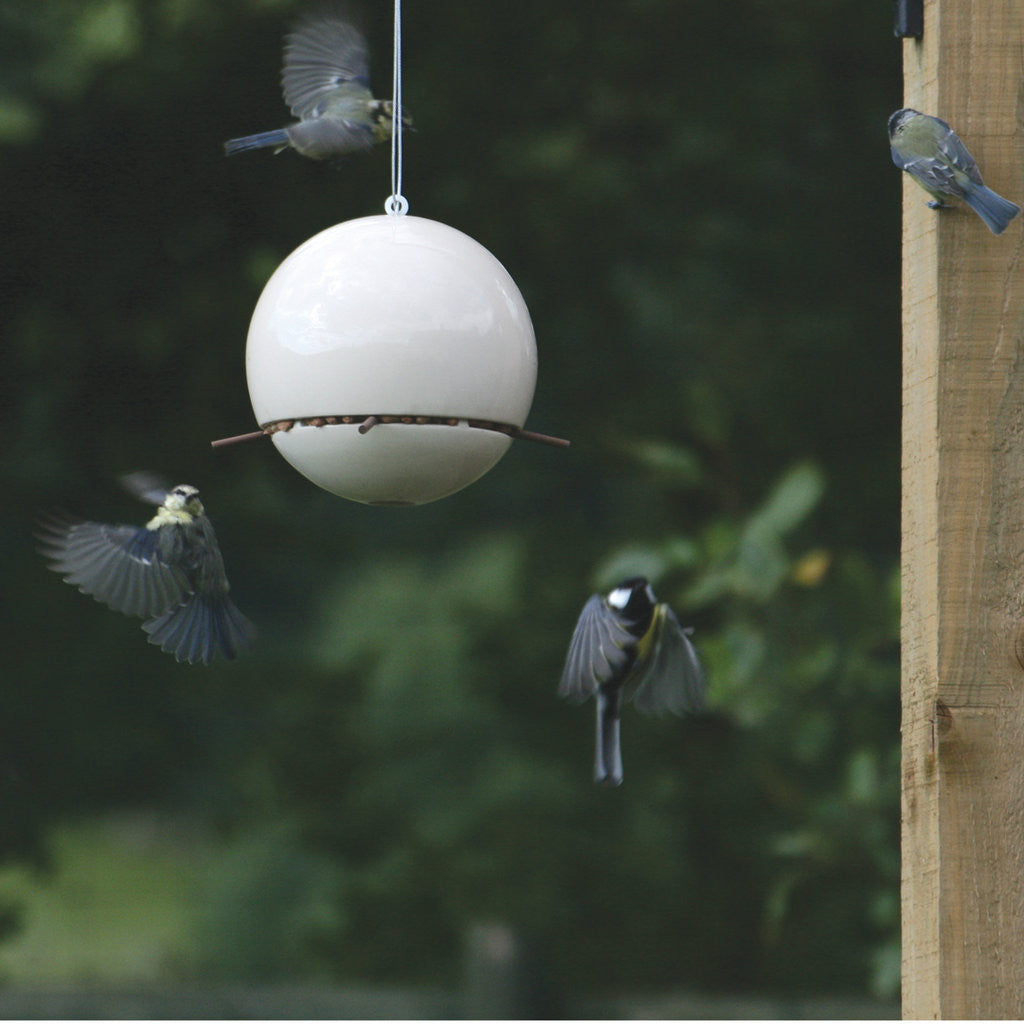 birdball peanut feeder