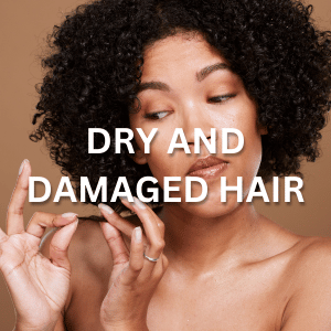 Dushi Products for Dry and Damaged Hair