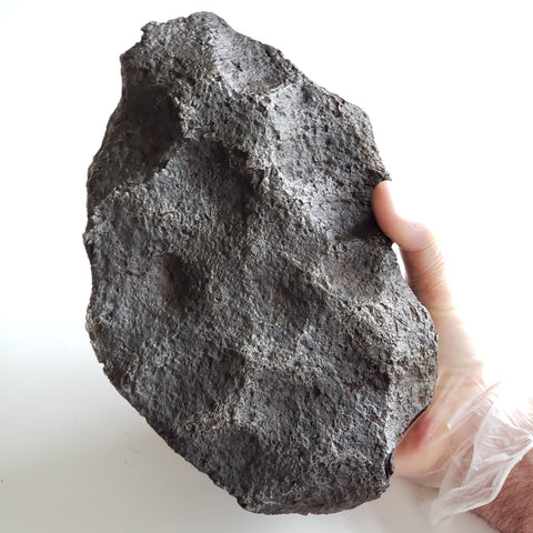 Campo del Cielo Meteorite | 7.930 Kg | Individual | Iron IAB-MG | Massive | Thumbprints | Argentina