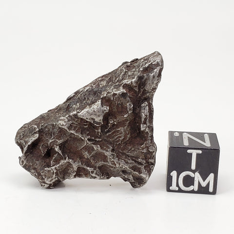 Sikhote-Alin Meteorite | 20.1 Grams | Individual | Iron IIAB | Shrapnel