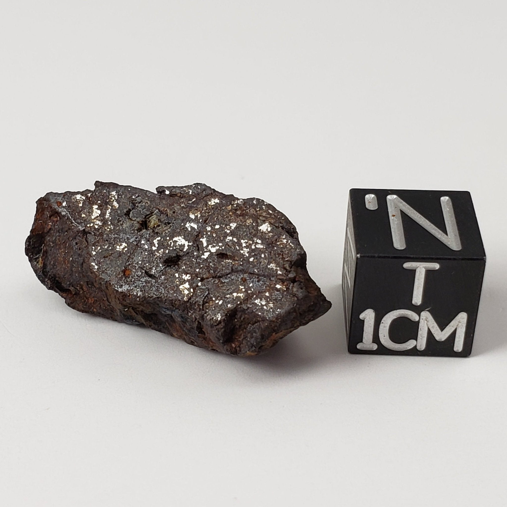 Vaca Muerta Meteorite | 5.62 Gr | End Cut | Mesosiderite A1 | Chile