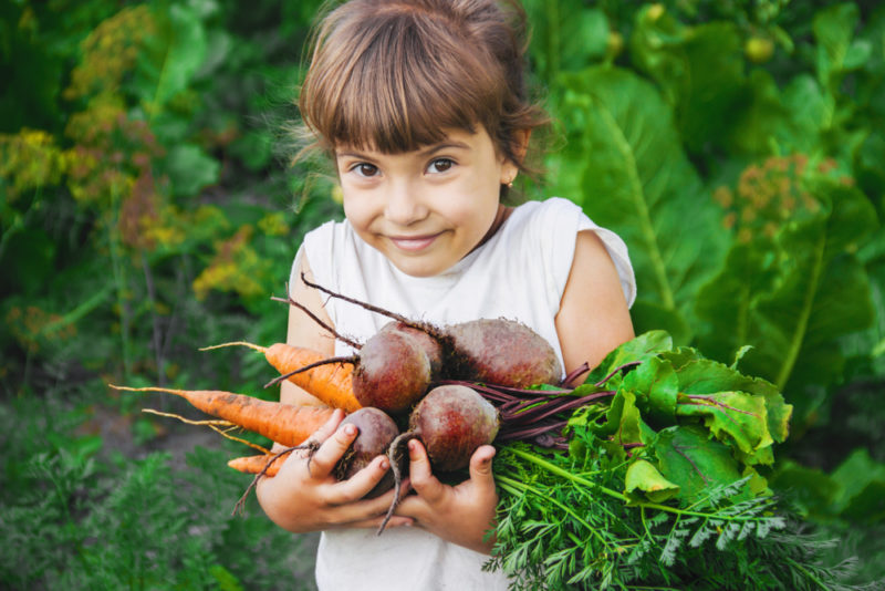 kid-vegetable