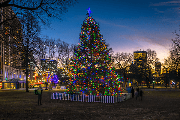 A Christmas tree gifted from Nova Scotia, on Boston Common | Love to Sing