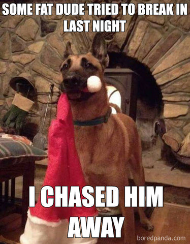 The guard dog chased Santa away Merry Christmas Meme | Love to Sing