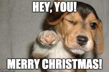 Merry Christmas from a Puppy Merry Christmas Meme | Love to Sing