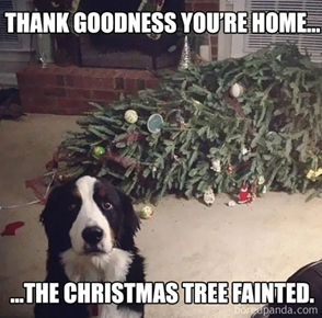 The Christmas tree fainted Merry Christmas Meme | Love to Sing