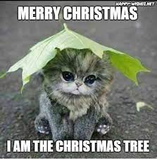 Become the Christmas Tree Merry Christmas Meme | Love to Sing