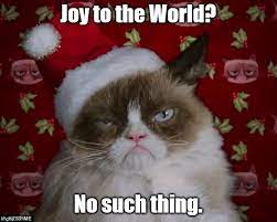 Grumpy Cat stole Christmas Merry Christmas Meme | Love to Sing