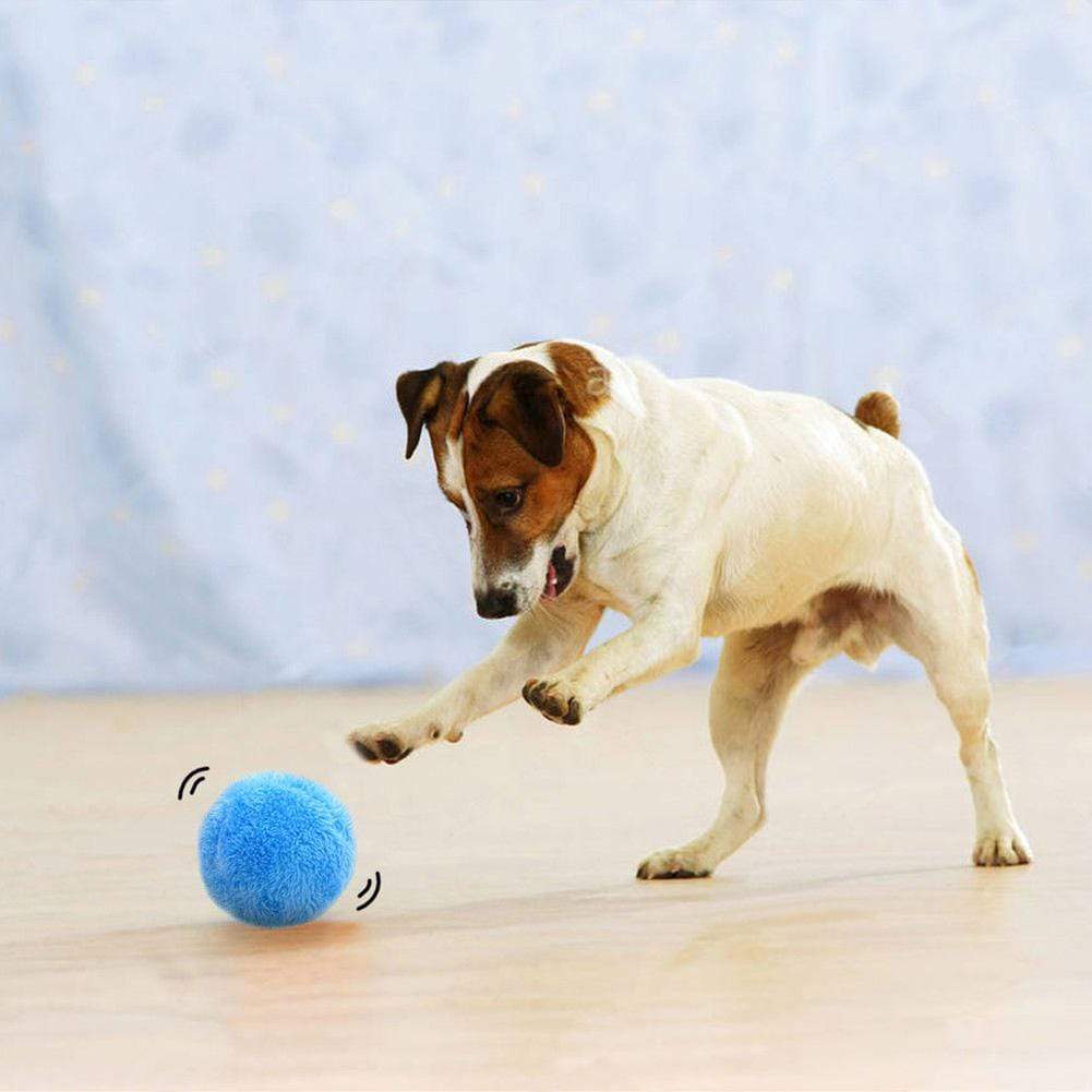 automatic dog ball