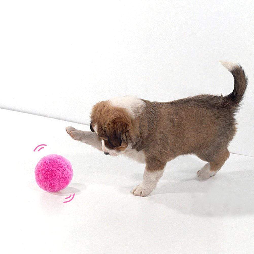 magic roller ball toy for dogs