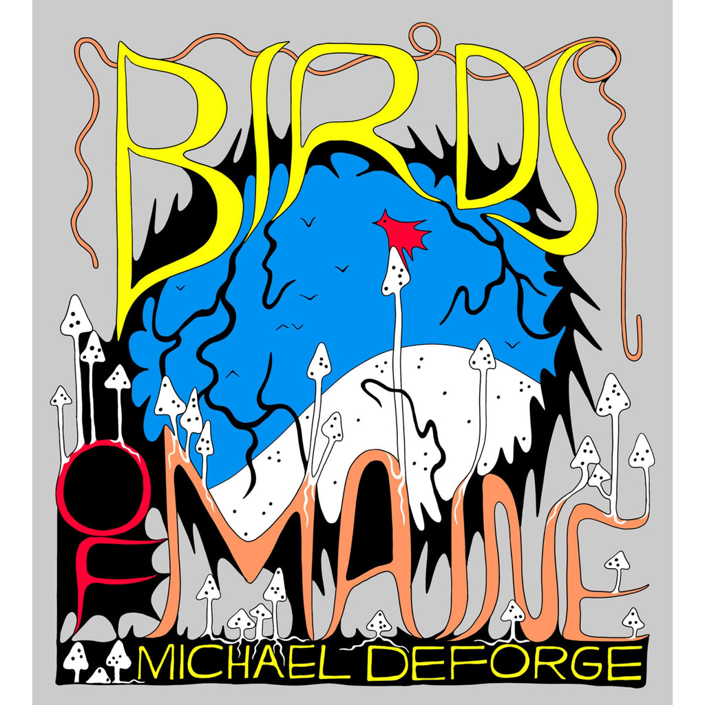 birds-of-maine-atomic-books